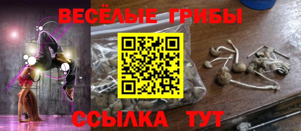 Псилоцибиновые грибы GOLDEN TEACHER Ахтубинск